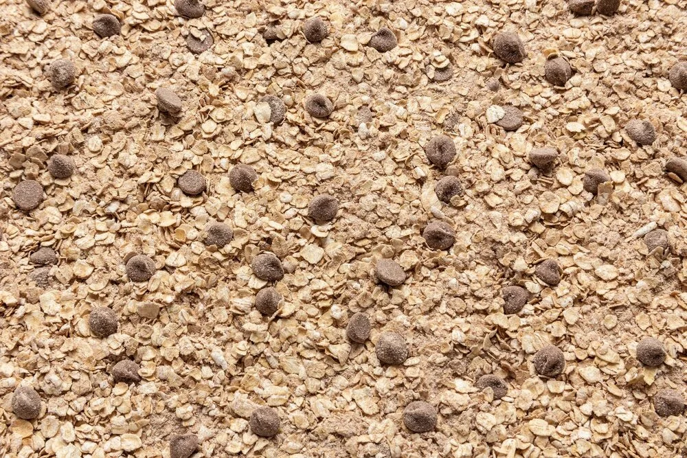 Muesli